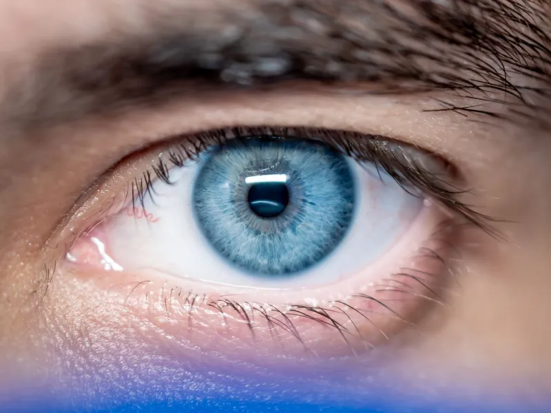 The Vision You're Not Watching: How Peripheral Sight Quietly Shapes Safety, Performance, and Daily Life