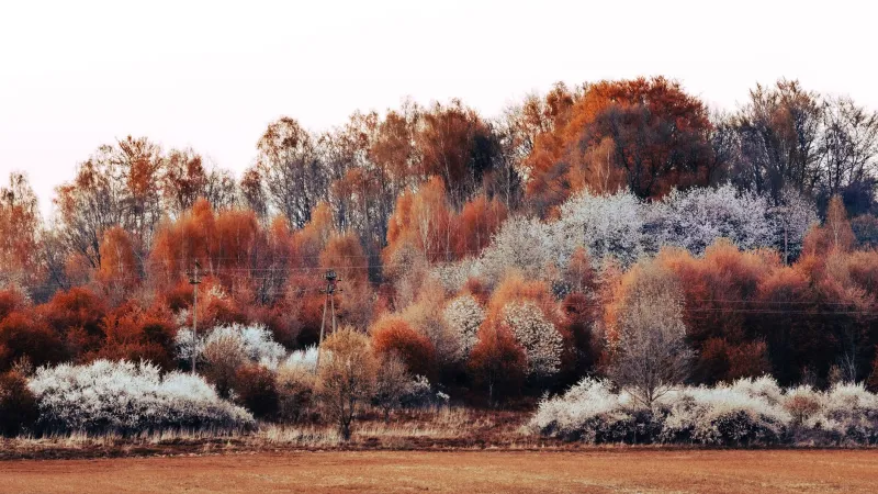 How the Changing Seasons Quietly Reshape Your Vision — And What to Do About It